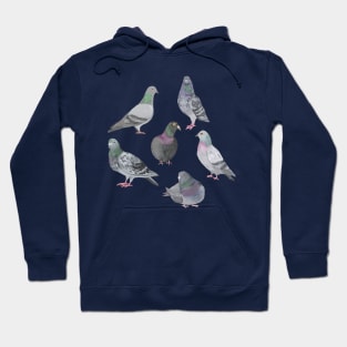 Pigeon Party Hoodie